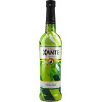 Xante Sour & Pear 15% 0,5 ltr.
